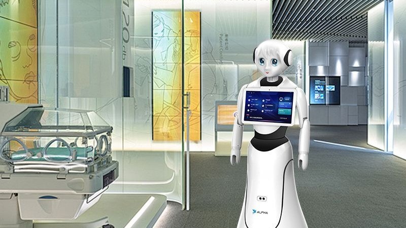 Alice Service Robot