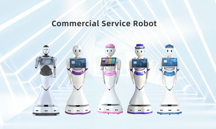 Language Humanoid Service Robot