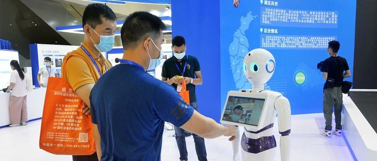 Language Humanoid Service Robot
