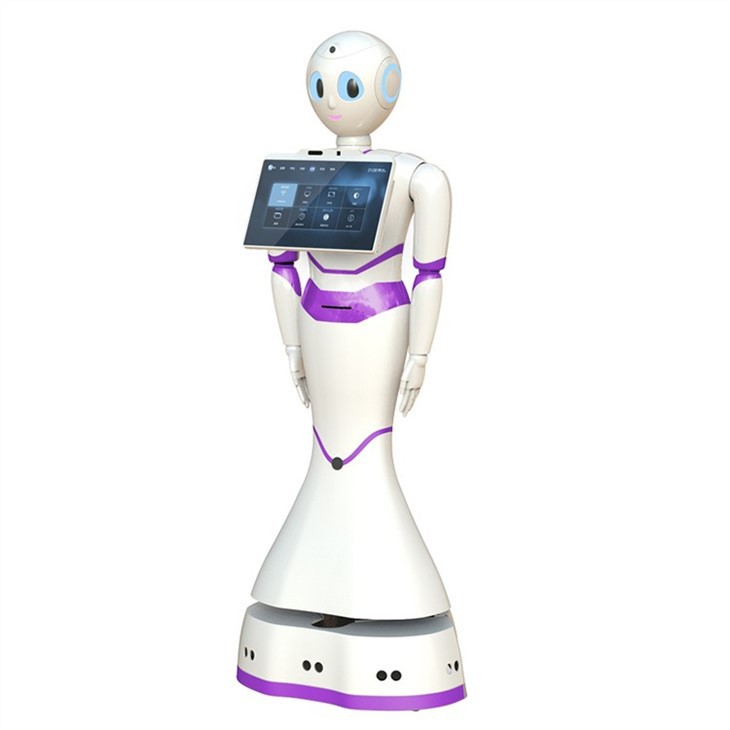 Language Humanoid Service Robot