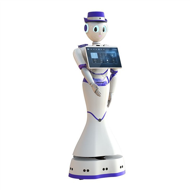 Language Humanoid Service Robot